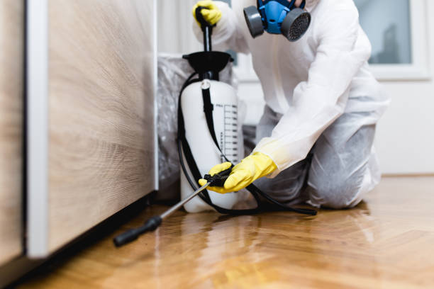 Best Affordable Pest Control Services  in Fairburn, GA