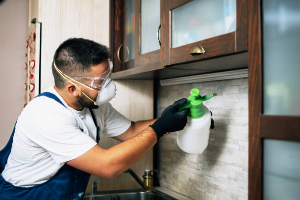 Best Mosquito Control Services  in Fairburn, GA