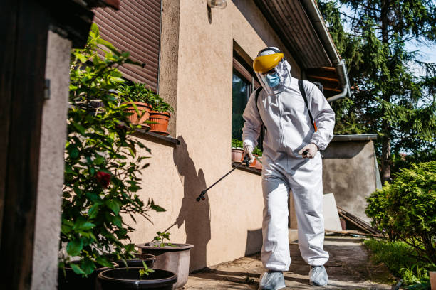 Best Best Pest Control Companies  in Fairburn, GA