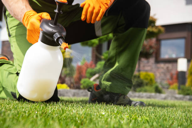 Best Pest Removal Services  in Fairburn, GA