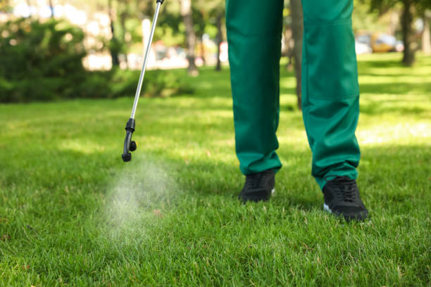 Best Pest Prevention Services  in Fairburn, GA