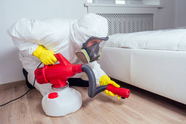 Best Pest Control for Homes  in Fairburn, GA
