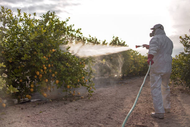 Insect Control in Fairburn, GA