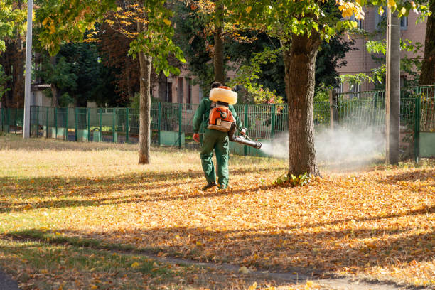 Best Mosquito Control Services  in Fairburn, GA