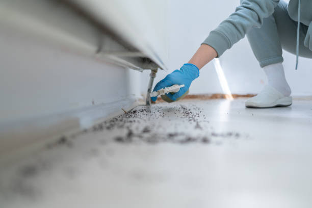 Best Residential Pest Control  in Fairburn, GA